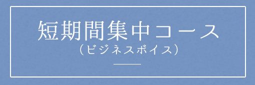画像:短期間集中コース(ビジネスボイス)